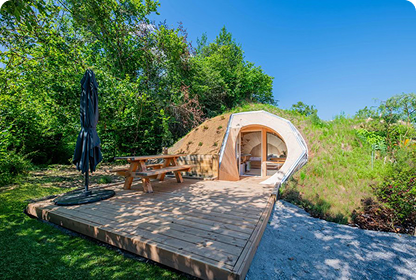 Cabane végétalisée